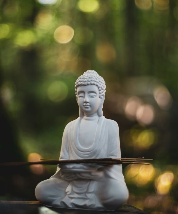 buddha dans la foret